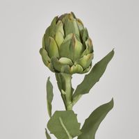 Single Artichoke Green 58CM