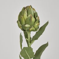 Single Artichoke Green 58CM