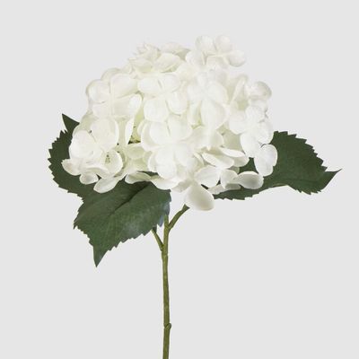 Hydrangea 62cm White