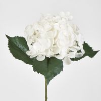 Single Hydrangea with 2 Leaves White 62CM