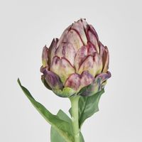 Single Artichoke Burgundy 58CM