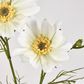 Cosmos Spray 64CM White