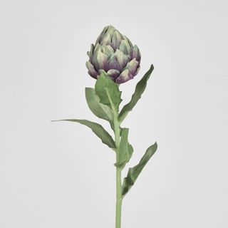 Single Artichoke Plum 58CM