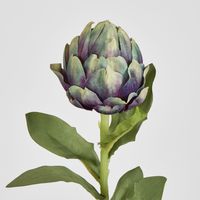 Single Artichoke Plum 58CM