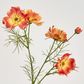 Cosmos Spray 64CM Orange