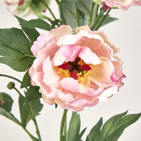 Peony Spray 64CM Pink