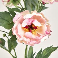 Peony Spray 64CM Pink