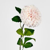 Single Ball Dahlia 74CM Light Pink