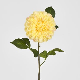 Single Ball Dahlia 74CM Yellow