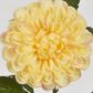 Single Ball Dahlia 74CM Yellow