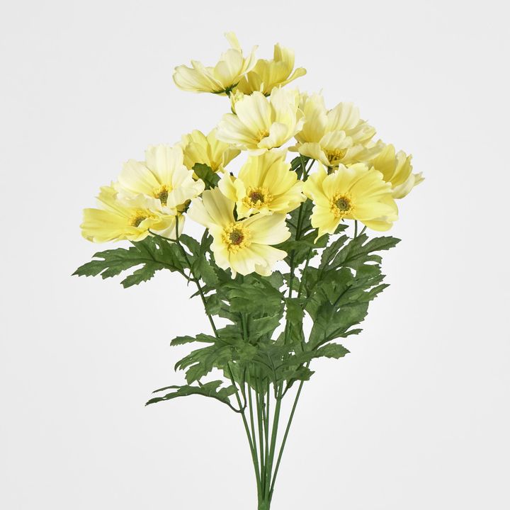 Cosmos Bush 48CM Yellow