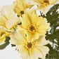 Cosmos Bush 48CM Yellow