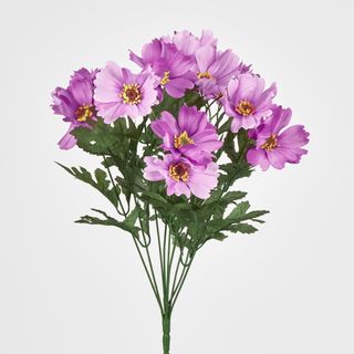 Cosmos Bush 48CM Dark Pink