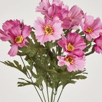 Cosmos Bush 48CM Dark Pink