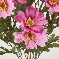 Cosmos Bush 48CM Dark Pink