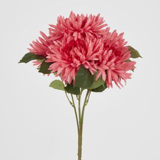 Pink Mum Bush x 5 46cm