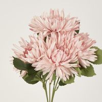 Pink Mum Bush x 5 46cm