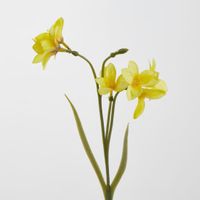Daffodil Spray 50cm Yellow
