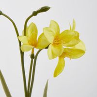 Daffodil Spray 50cm Yellow