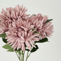 Dusty Pink Mum Bush x 5 46cm