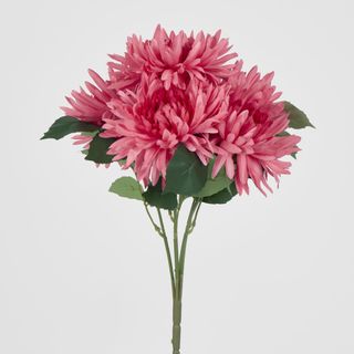 Light Pink Mum Bush x 5 46cm