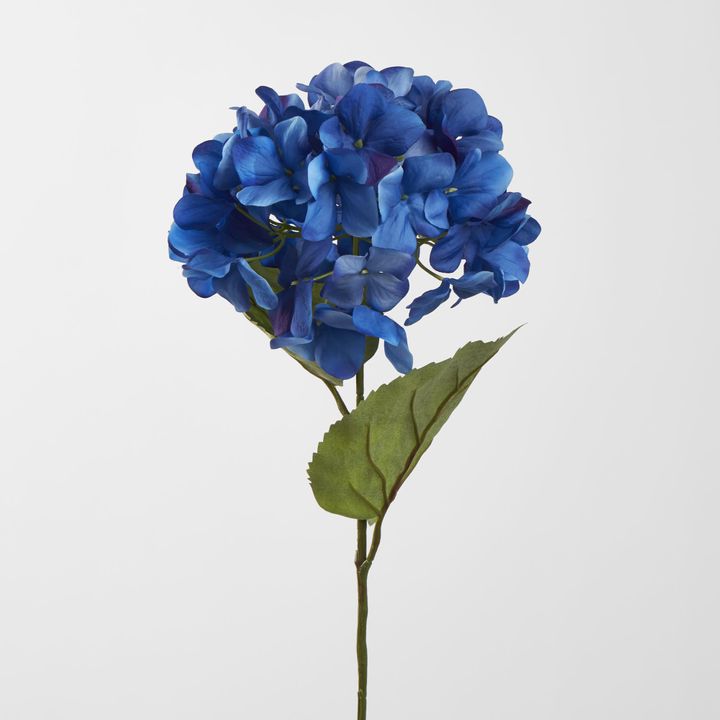 68cm Domed Hydrangea