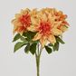 Orange Dahlia Bush x 5