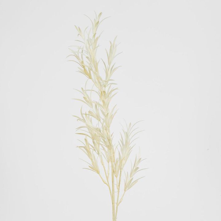 Beige Podocarpus grass Spray