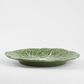 Luxe Cabbage Leaf Dinner Plate Box of 6 Green