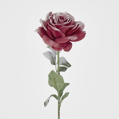 Snow Covered Red Christmas Madonna Rose with 2 Leaves