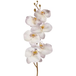 Orchid Stem 80cm Lavender