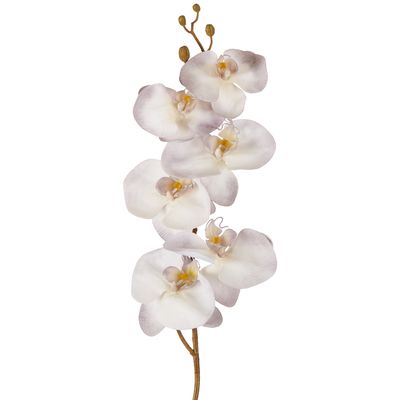 Orchid Stem 80cm Lavender