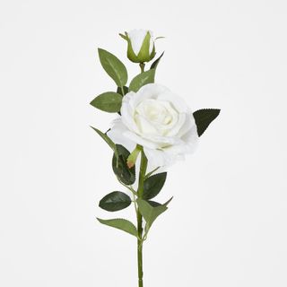 White Rose with Bud