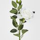 White Rose with Bud