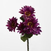Gerbera Bush Dark Box of 60