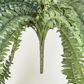 Huge Green Boston Fern Bush 52 leaves