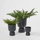 Blanche Planter Large Black