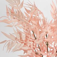 Bamboo Leaf Bush Blush Pink