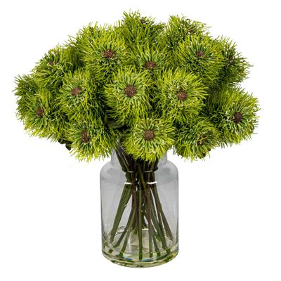 Pincushion Natives in Glass Vase