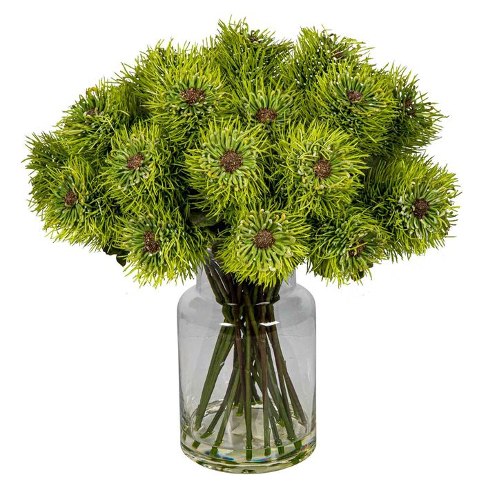 Pincushion Natives in Glass Vase