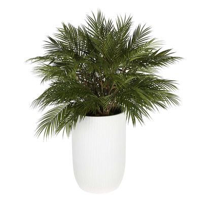 Bamboo Leaf Cluster Large Planter