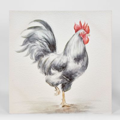 Black Rooster Painting Wall Art