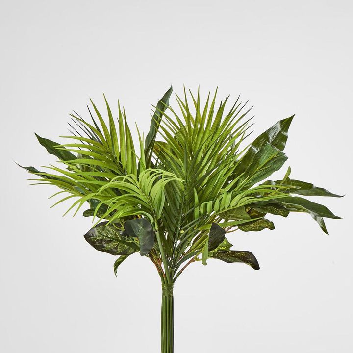 Dracaena Palm Bush