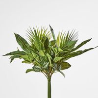 Dracaena Palm Bush