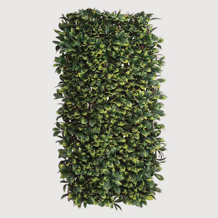 Laurel Trellis UV Treated 1x2m