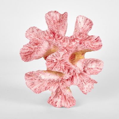 Pearl Pink Coral 15X12X5CM