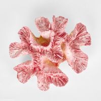 Pearl Pink Coral 15X12X5CM