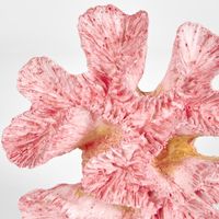 Pearl Pink Coral 15X12X5CM