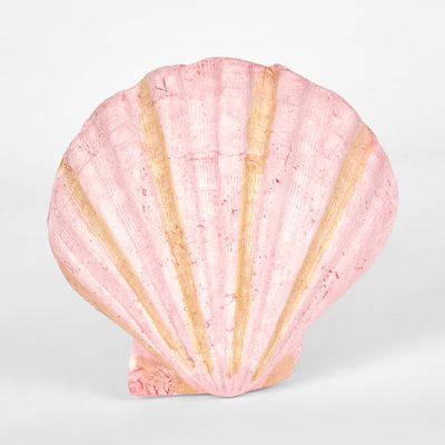 Sadie Pink Shell 13.5X12.5X5CM