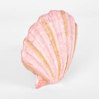 Sadie Pink Shell 13.5X12.5X5CM